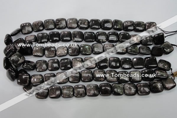 CHS82 15.5 inches 14*14mm square natural hypersthene beads