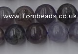 CIL102 15.5 inches 8mm round iolite gemstone beads wholesale