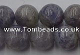 CIL103 15.5 inches 10mm round iolite gemstone beads wholesale