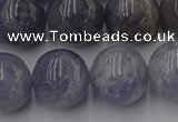 CIL104 15.5 inches 12mm round iolite gemstone beads wholesale