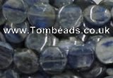 CKC02 16 inches 25mm flat round natural kyanite beads wholesale