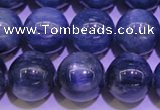 CKC406 15.5 inches 10mm round A grade natural blue kyanite beads