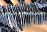 CKC548 Top drilled 10*16mm - 12*50mm sticks kyanite beads