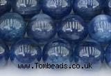 CKC791 15 inches 8mm round blue kyanite beads wholesale