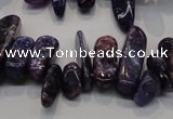 CKU52 15.5 inches 6*12mm - 9*27mm purple kunzite chips beads