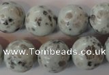 CKW06 15.5 inches 16mm round kiwi jasper gemstone beads