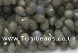 CLB07 16 inches 6*10mm faceted teardrop labradorite beads wholesale