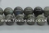 CLB101 15.5 inches 12mm round labradorite gemstone beads wholesale