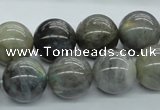 CLB103 15.5 inches 16mm round labradorite gemstone beads wholesale