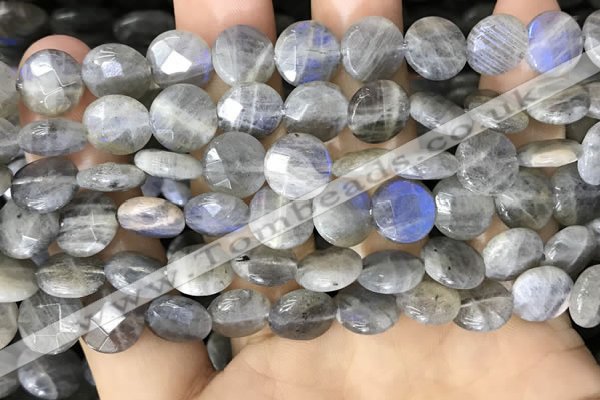 CLB1038 15.5 inches 10mm faceted coin labradorite beads wholesale