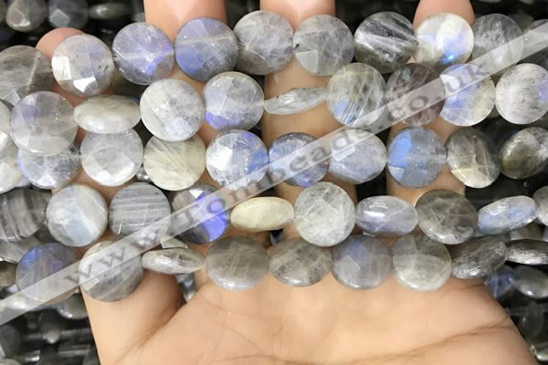 CLB1039 15.5 inches 12mm faceted coin labradorite beads wholesale