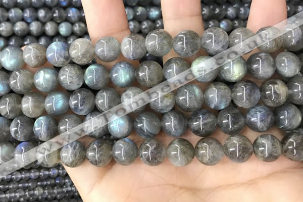 CLB1059 15.5 inches 10mm round labradorite gemstone beads