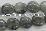 CLB106 15.5 inches 14mm flat round labradorite gemstone beads wholesale