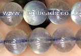 CLB1063 15.5 inches 8mm round natural labradorite gemstone beads