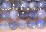 CLB1070 15.5 inches 4mm faceted round labradorite beads