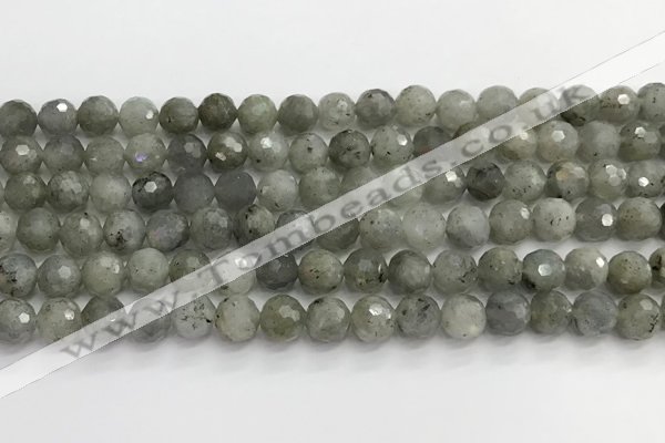 CLB1076 15.5 inches 8mm faceted round labradorite beads