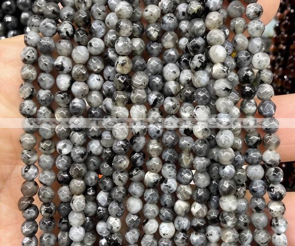 CLB1300 15 inches 4mm faceted round black labradorite beads wholesale
