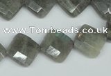 CLB182 15.5 inches 14*14mm faceted diamond labradorite beads