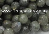 CLB23 15.5 inches 10mm faceted round labradorite gemstone beads