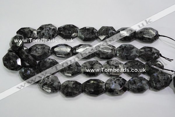 CLB325 15.5 inches 20*25mm octagonal black labradorite beads