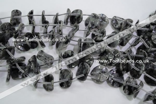 CLB326 Top-drilled 20mm wavy coin black labradorite beads