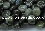 CLB38 15.5 inches 10mm flat round labradorite gemstone beads