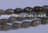 CLB501 15.5 inches 6*10mm faceted teardrop labradorite beads