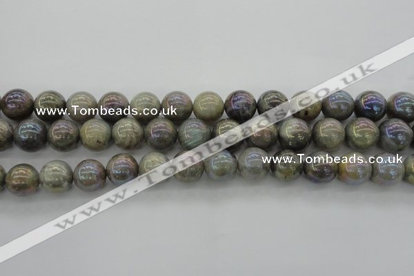 CLB606 15.5 inches 16mm round AB-color labradorite beads