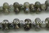 CLB630 15.5 inches 4*9mm bone AB-color labradorite beads