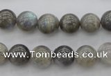 CLB65 15.5 inches 10mm round labradorite gemstone beads wholesale
