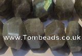 CLB701 15.5 inches 12*22mm - 14*24mm faceted nuggets labradorite beads