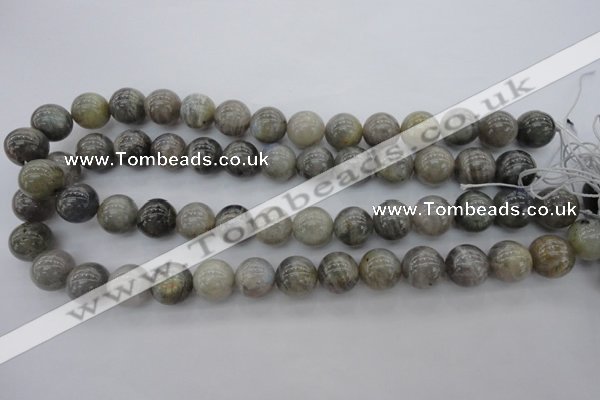CLB710 15.5 inches 16mm round labradorite gemstone beads