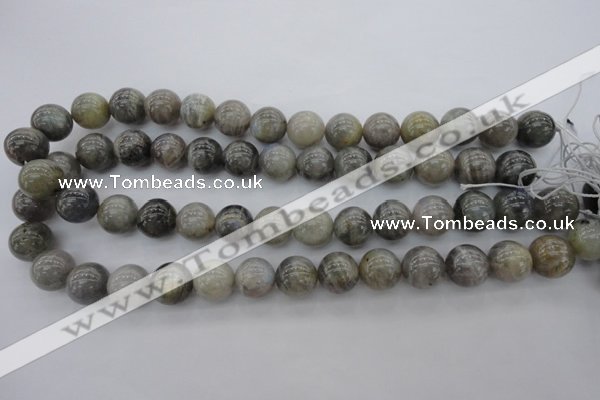 CLB711 15.5 inches 18mm round labradorite gemstone beads