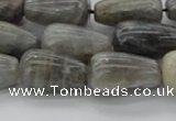 CLB725 15.5 inches 10*30mm teardrop labradorite gemstone beads