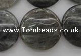 CLB739 15.5 inches 30mm flat round labradorite gemstone beads