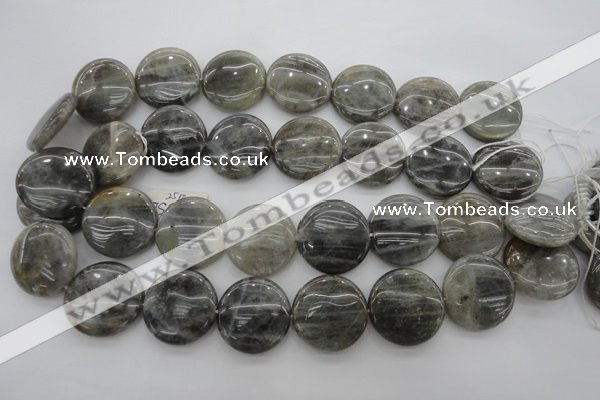 CLB739 15.5 inches 30mm flat round labradorite gemstone beads