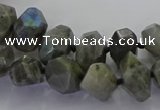 CLB765 15.5 inches 8*12mm - 12*16mm faceted nuggets labradorite beads