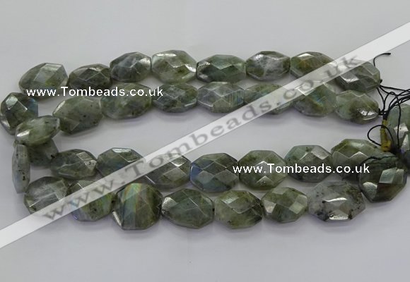 CLB767 15.5 inches 13*18mm - 18*25mm faceted freeform labradorite beads