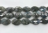 CLB798 20*28mm - 22*32mm faceted octagonal labradorite beads