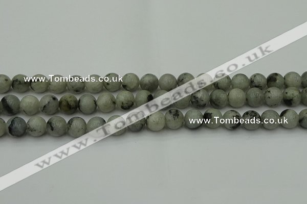 CLB853 15.5 inches 10mm round AB grade labradorite beads wholesale