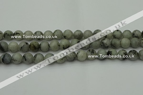 CLB854 15.5 inches 12mm round AB grade labradorite beads wholesale