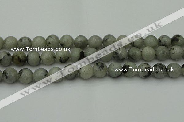 CLB855 15.5 inches 14mm round AB grade labradorite beads wholesale