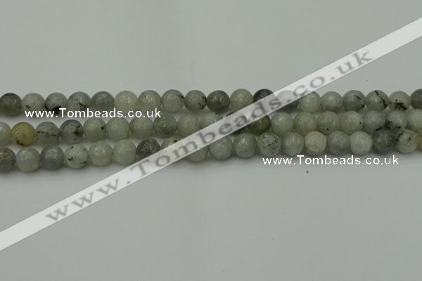 CLB862 15.5 inches 8mm faceted round AB grade labradorite beads