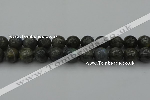 CLB954 15.5 inches 20mm round labradorite gemstone beads