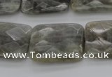 CLB96 15.5 inches 18*25mm faceted rectangle labradorite beads
