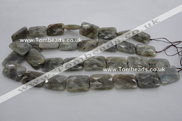 CLB96 15.5 inches 18*25mm faceted rectangle labradorite beads