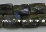 CLB963 15.5 inches 15*20mm faceted rectangle labradorite beads