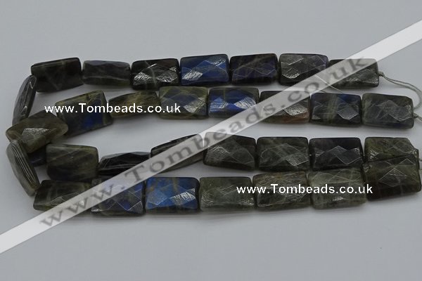 CLB965 15.5 inches 20*30mm faceted rectangle labradorite beads