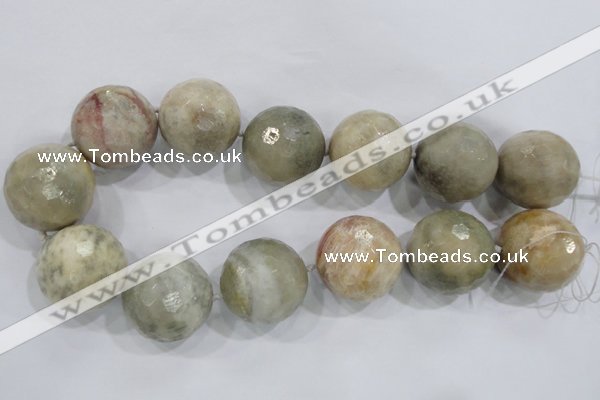 CLS04 15.5 inches 30mm faceted round large fossil coral beads