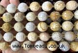 CLS443 15 inches 16mm faceted round fossil coral beads